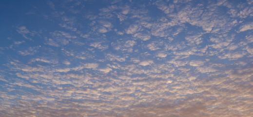 Cirrus cloudscape on blue sky. The evening sunset. Majestic Clouds.