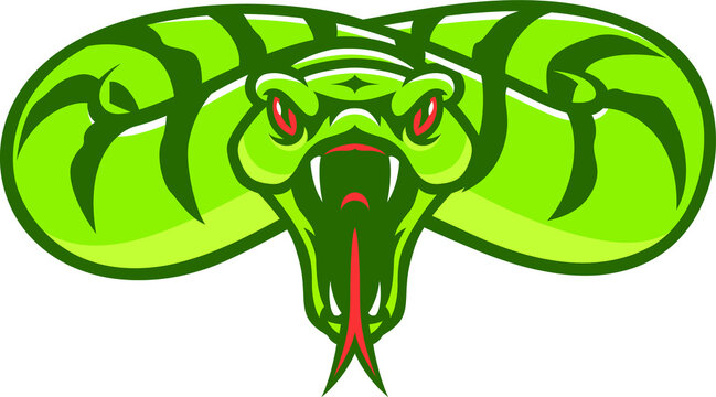 Aggressive Snake Opening Its Mouth Attacking the Prey Sport Logo