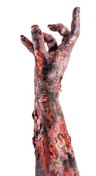 Zombie Hand, Undead, Coming Out Of The Ground, Monster Hand On Isolated White Background, Halloween Hand.