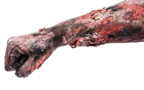 closed zombie hand clenched in punch gesture, monster attack, isolated white background.