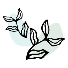Cute hand drawn herbal elements. Decorative and botanical plants. Scribble. Black and white vector illustrations for holiday designs, wedding invitations, logos and greeting cards.