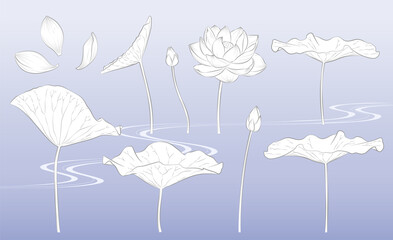 筆で描いたような蓮の花のイラスト
