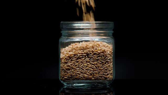 Close-up of falling down barley into glass jar on black background. Shooting of seeds and groats in studio. Macro footage of pouring out the grits. Food cooking video. 
