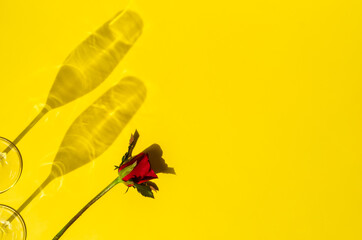 Red rose with two Champagne glasses shadow on yellow background.