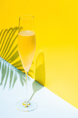 A glass of cold Champagne with vapour that has coconut leaf shadow from sun light on blue and yellow background. Summer concept.