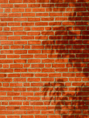old brick wall with shadow of the leaves