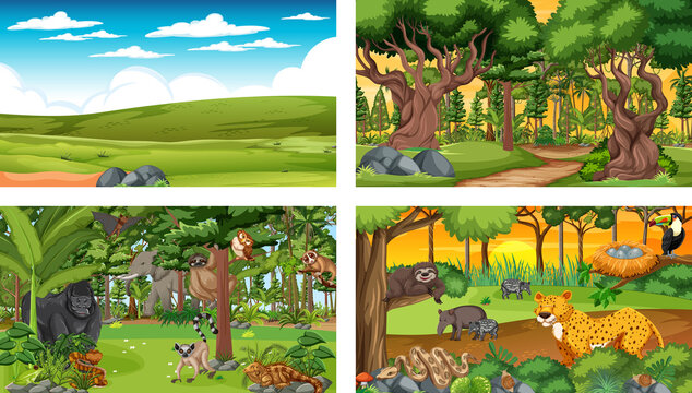 Different nature scenes of forest and rainforest with wild animals