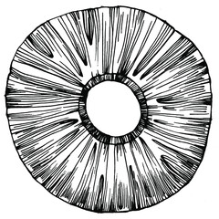Obraz premium Pineapple sketch tropical fruit decorative. Fruit drawings. Retro style elements. Pineapple sketch citrus fruit decorative. Vintage illustration.