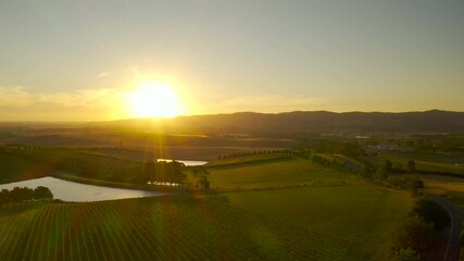 Slow pan left aerial perspective over dramatic vineyard landscape with lens flare in Yarra Valley, Victoria, Australia.