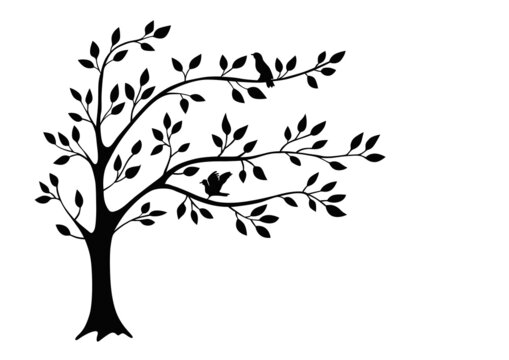 Beautiful tree branch silhouette background for wallpaper