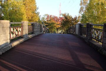 公園の小さな橋と紅葉と電波塔