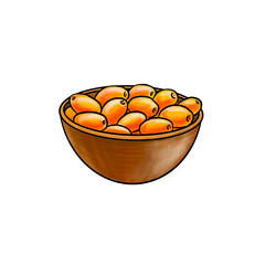 drawing berries of sea buckthorn, Hippophae rhamnoides , hand drawn illustration