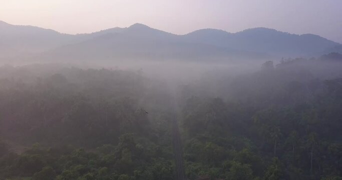 Bird's Eye View Of A Misty Mountain Woods With Clouds Cover Wild Foggy Forest At Cotigao Wildlife Sanctuary In South Goa, India. - Aerial Wide Shot