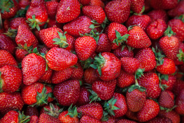 A close up of the berries of strawberry.