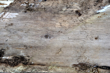 old wood textured background