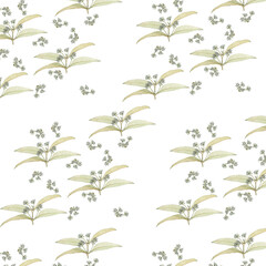 Lemon Myrtle leaves and flowers in free-form repeat pattern. Useful for textile print or wrapping paper pale green on white.