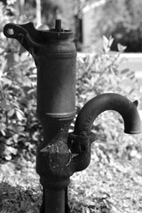 water tap in the garden