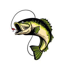 fishing logo design illustration