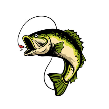 fishing logo design illustration