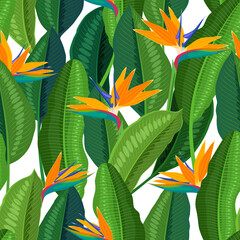 Tropical flower strelitzia, seamless background. Vector illustration cartoon flat template for packaging design and wallpaper.