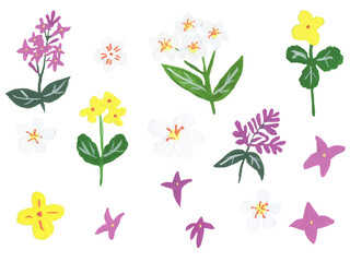 Different colorful gouache flowers on white background