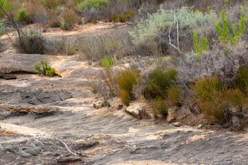 A dried out river bed in September 2017 on the Gifberg close to VanRhynsdorp in the Western Cape of South Africa