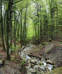 Kleine Wanderung bei Marquardstein