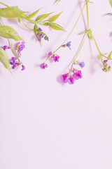 pink wild flowers on pink paper background