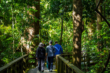 Southeast Asia, tourist attractions, Malaysia, Borneo, Sabah, Sandakan, animal sanctuary, tourists