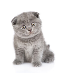 Curious kitten sits in front view and looks at camera tilting it head. isolated on white background