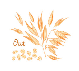 Oats set. Spikelets, grains and flakes on a white background. Cartoon style. Vector illustration