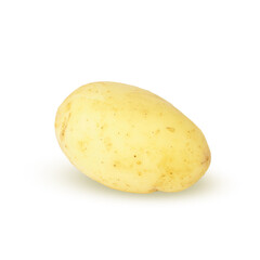 young potatoes isolated on white. a whole fresh vegetable. new harvest