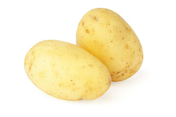 young potatoes isolated on white. two whole fresh vegetables. new harvest