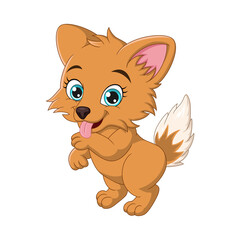 Cute corgi dog cartoon on white background