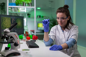 Chemist scientist looking at green leaf sample checking genetic mutation for biological experiment....