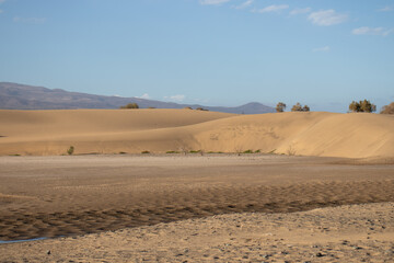 Fototapeta na wymiar Maspalomas dune landscape. Desert and sandy ecosystem on the island of Gran Canaria.
