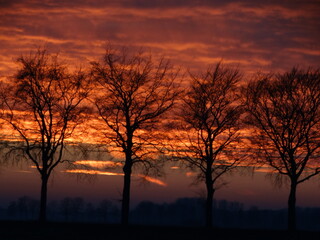 Under a bloodred sky. Dramatic sunset. Deep red colours. Bloedrode zonsondergang. Panoramic view. Background