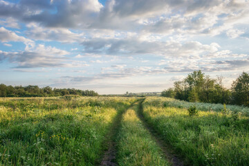 Fototapeta na wymiar Country road through a meadow with tall grass and wildflowers on a summer morning. The sky with beautiful cumulus clouds is illuminated by morning light. The road disappears over the horizon. Russia (