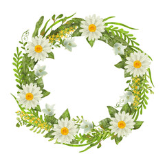 Watercolor floral round frame or wreath with green leaves and daisy flowers isolated on white. Beautiful illustration. Great template for greeting cards, wedding invitations, home art print.