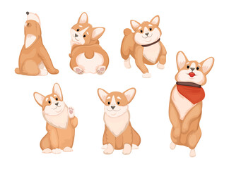 Cute corgi in different poses vector illustration set. Friendly puppy playing, earning, walking, sitting and relaxing. Comic dog, domestic animal, pet concept