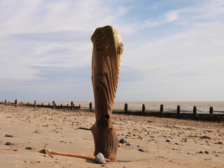 Worn Sea groyne weatherd and shaped by the sea