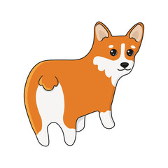 Corgi dog vector cartoon illustration. Cute friendly welsh corgi puppy, isolated on white background. Great for icon, symbol, card, children's book