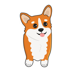 Corgi dog vector cartoon illustration. Cute friendly welsh corgi puppy, isolated on white background. Great for icon, symbol, card, children's book