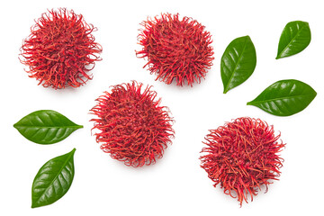 rambutan isolated on white background. exotic fruit. clipping path. top view