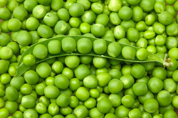 Fototapeta na wymiar fresh green peas background. green peas texture