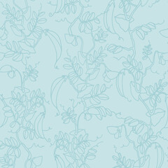 Seamless repeating pattern. Pea plant with pods and flowers. Monochrome vector illustration, delicate line art on sky blue background for surface design and other design projects