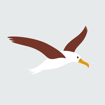 recommend clip art: Cute albatross - cartoon bird character. Vector illustration in flat style isolated on gray background.