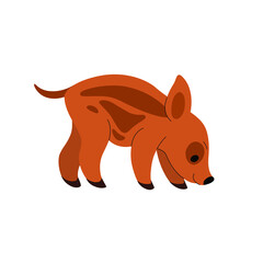 Cute hog - cartoon animal character. Vector illustration in flat style isolated on white background.