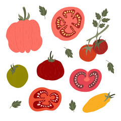 Set of hand-drawn illustrated tomatoes with tomato slices and leaves. Red, pink, yellow, green. Flat organic style. Isolated on white background.