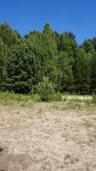 Пустырь, vacant lot